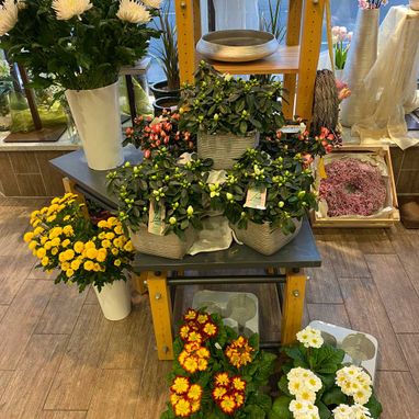 Schnittblumen